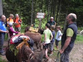 Al bivio nel bosco per la Val Canali (42336 bytes)